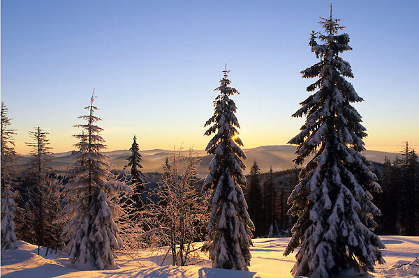 Winterlandschaft Bayerischer Wald, Waldkirchen